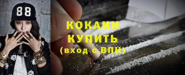 мет Протвино