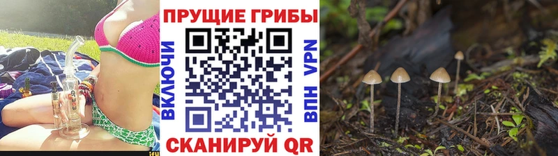 Галлюциногенные грибы MAGIC MUSHROOMS  Дзержинск 